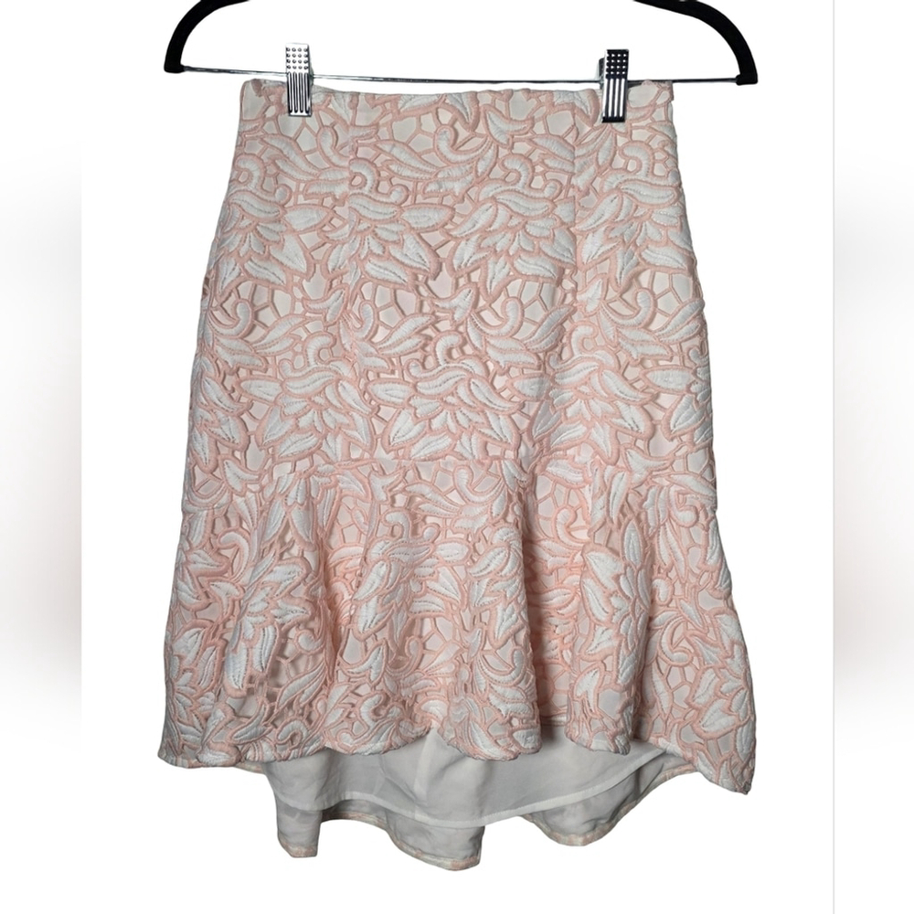 Club Monaco Blush Lace Mini Skirt Floral Embroidered High Waist Size 00 - Picture 2 of 9